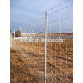2016 Top selling Fixed Knot Woven Wire Fence(Factory Price ISO9001-2008)